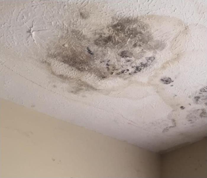 This picture shows the ceiling in a home with water stains from a roof leak.