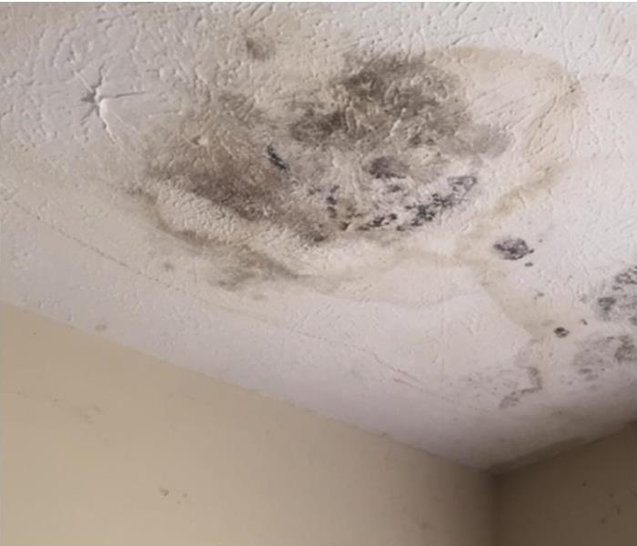 How To Clean Water Stains From Ceiling Servpro Of Indianapolis West